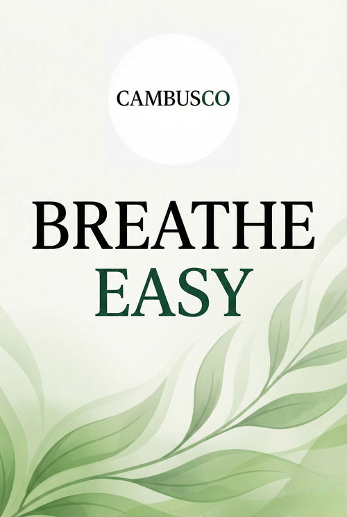 Breathe Easy Ebook