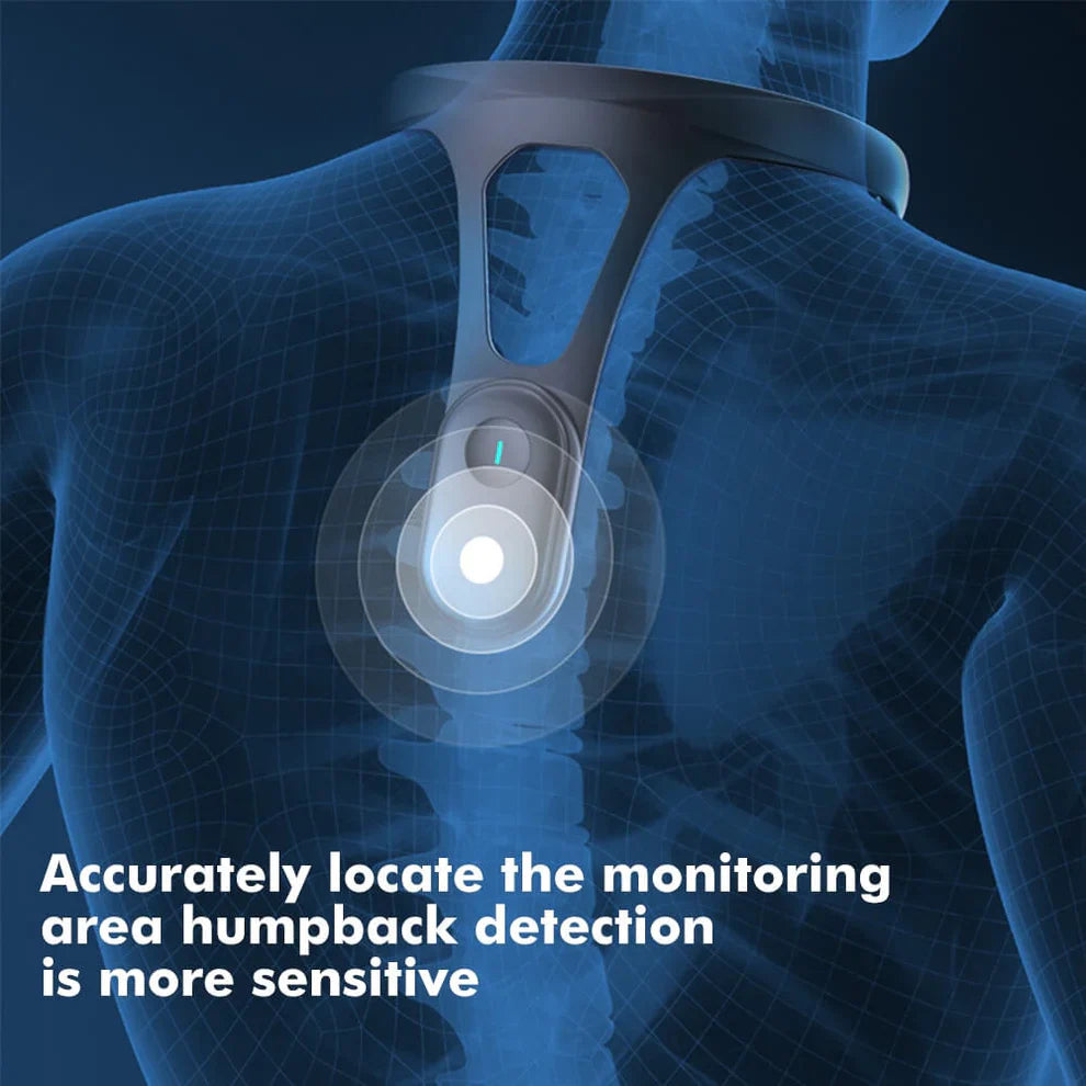 SpineSense Pro