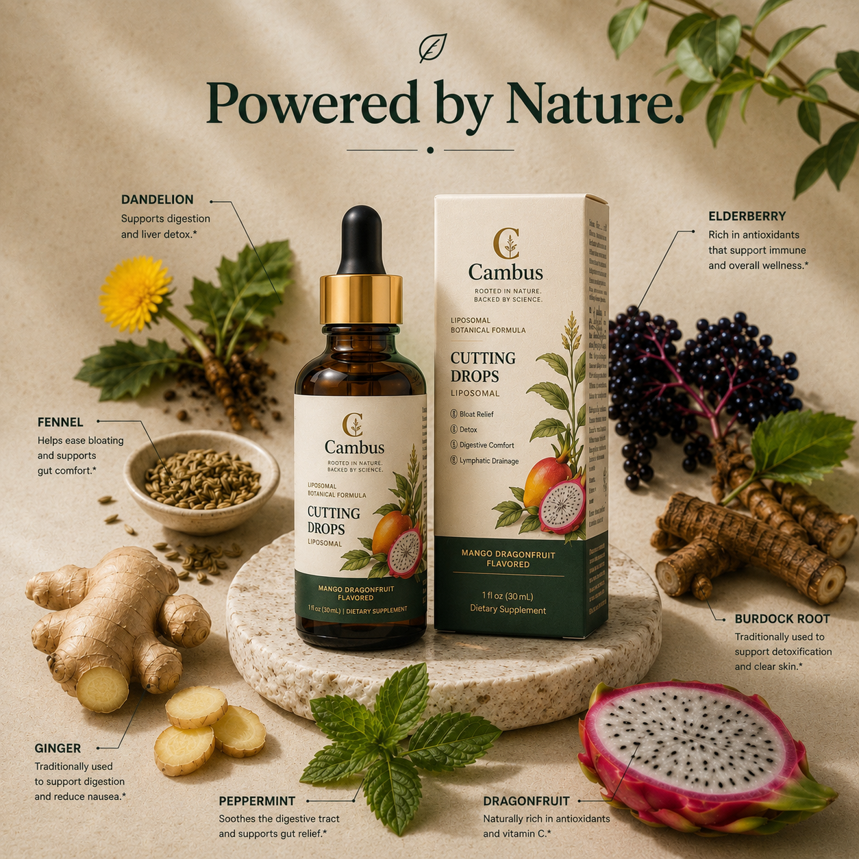 Cambus | Cutting Drops Liposomal