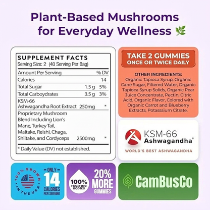 Mushroom Ashwagandha Gummies